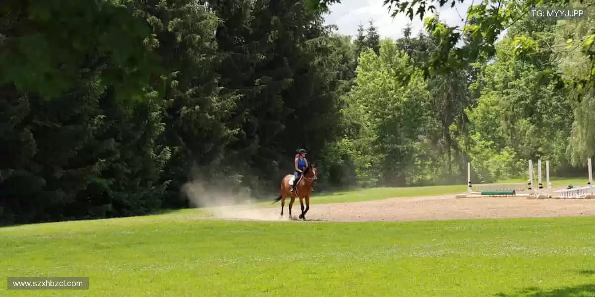热血赛事，一触即发！🔥